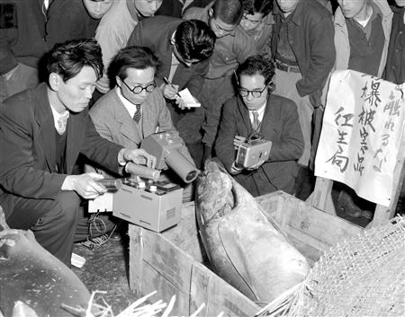 Scientist working old photograph